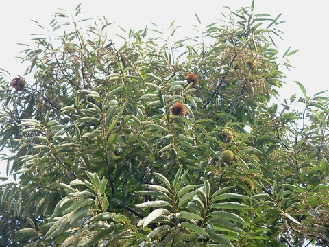 DSCF0067