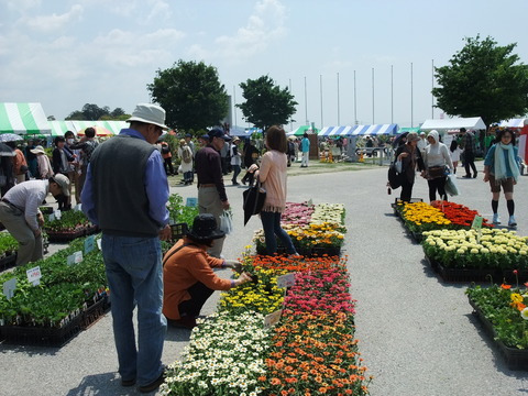 DSCF0062