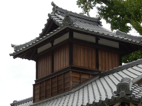 DSCN9912