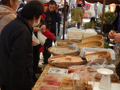 DSCN0647