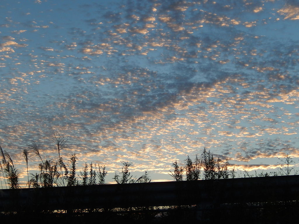 体育の日の夕空に秋の雲が出現 やつば池散歩道 豊田市 のブログ