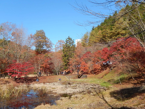 DSCN9510