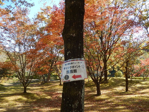 DSCN9808