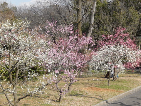 DSCN8852