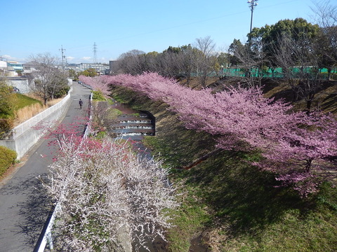 DSCN1567