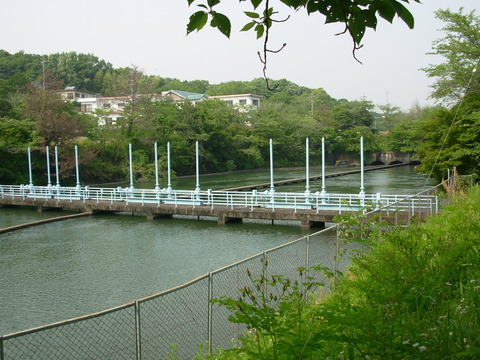 DSCN8303