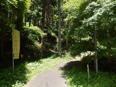 DSCN7566