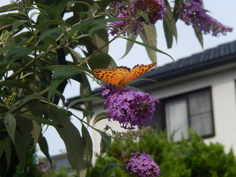 DSCN3899