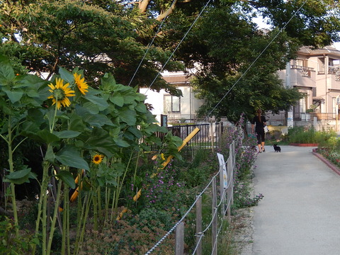 DSCN3110