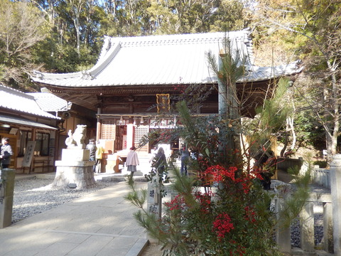 DSCN1132