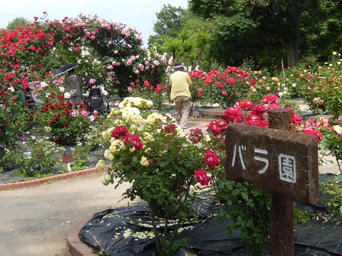 DSCN2097
