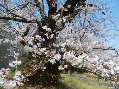 DSCN1843