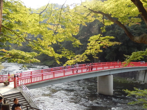 DSCN7582