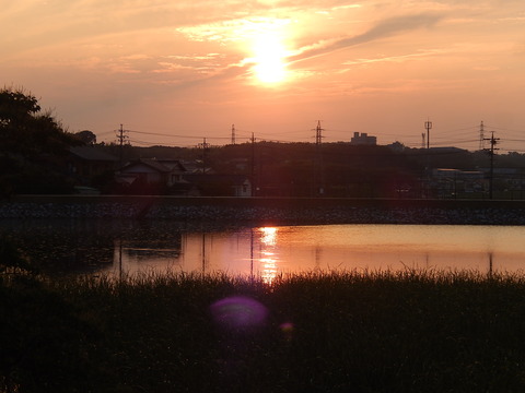 DSCN4656
