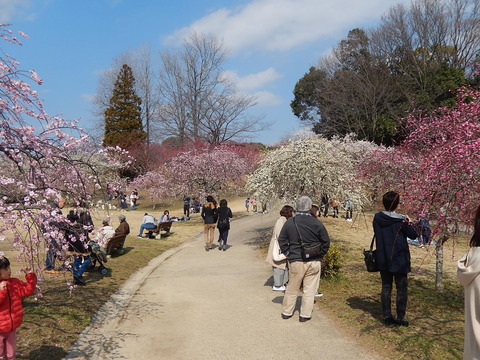 DSCN1427