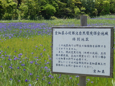 DSCN1921