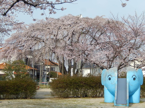 DSCN2372