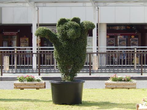 DSCN6904