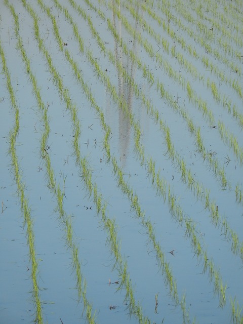 DSCN1552