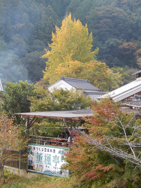 DSCN7306