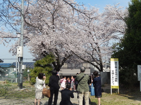 DSCN2649