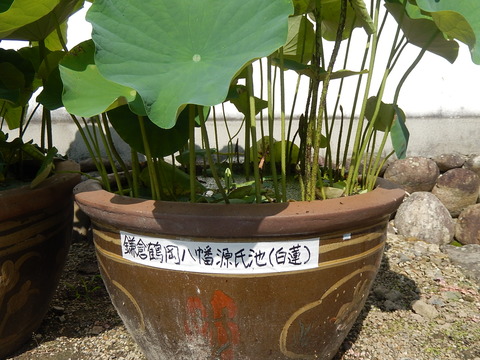 DSCN3537