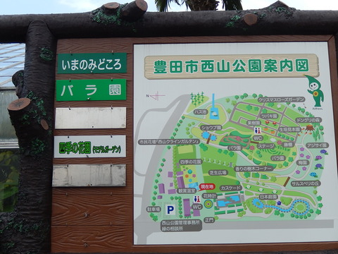 DSCN1627