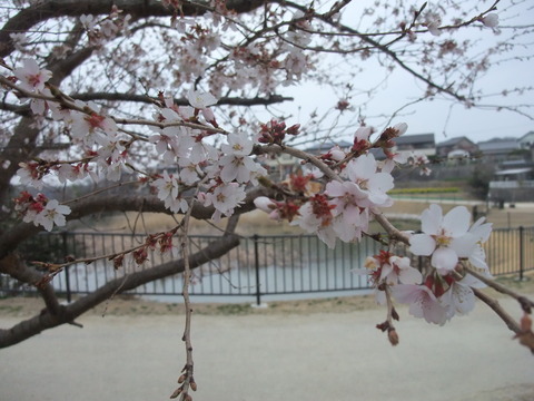 DSCF0038