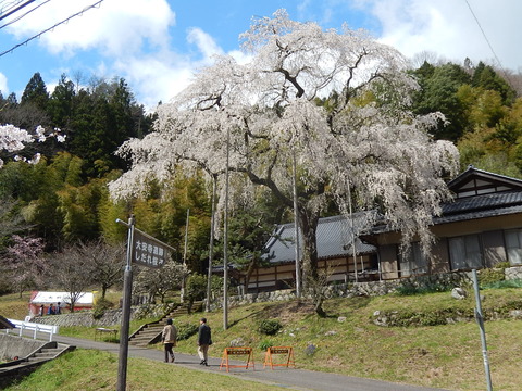 DSCN0463