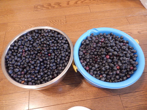 DSCN4539