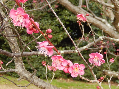 DSCN0164