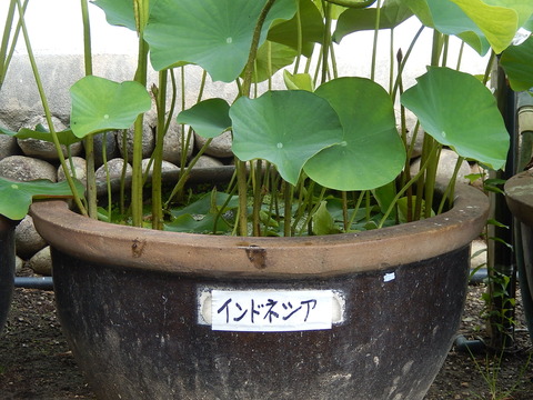 DSCN3547