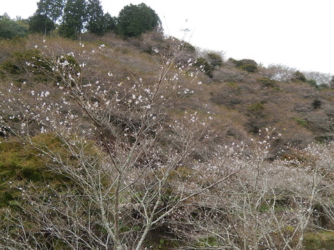 DSCN9189