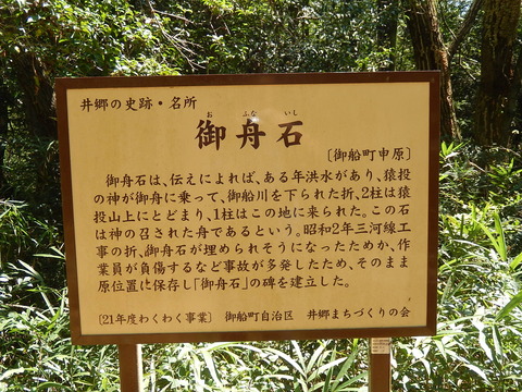 DSCN6040