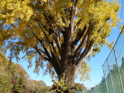 DSCN8028
