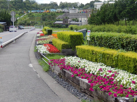 DSCN3603