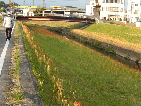 DSCN6498