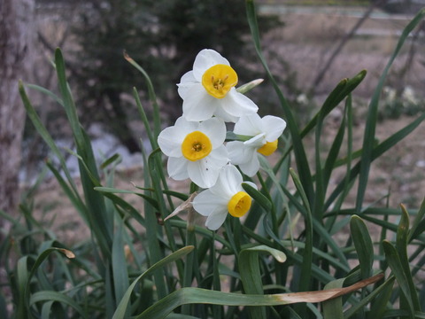DSCF0031