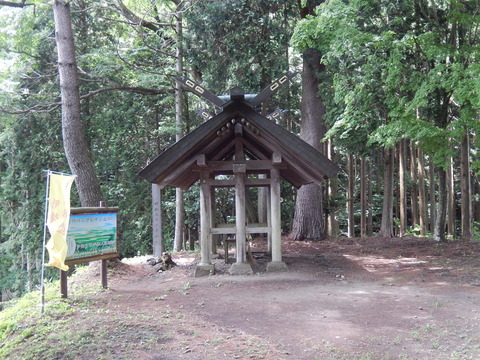 DSCN7606