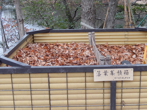 DSCN9316
