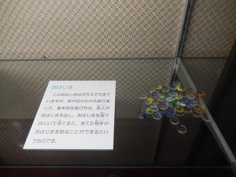 DSCN8755