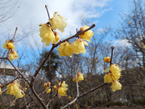 DSCN0112