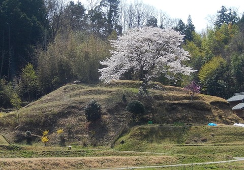 DSCN2144 (2)