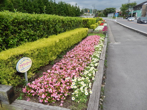 DSCN3608