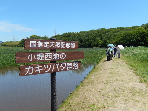 DSCN1950