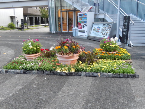 DSCN6815