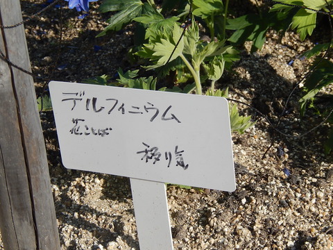 DSCN2149
