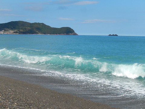 DSCN8549