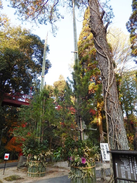 DSCN0815 (2)