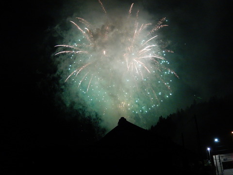 DSCN5351